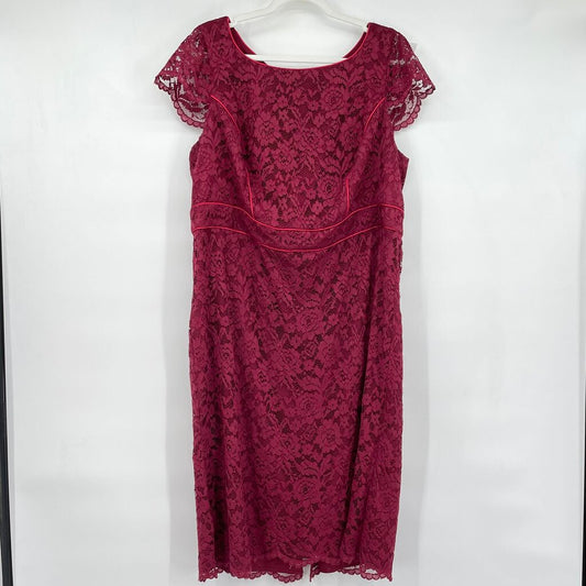 women ABS Allan Schwartz Lace Pencil Berry Pink Dress 18