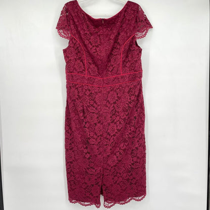 women ABS Allan Schwartz Lace Pencil Berry Pink Dress 18